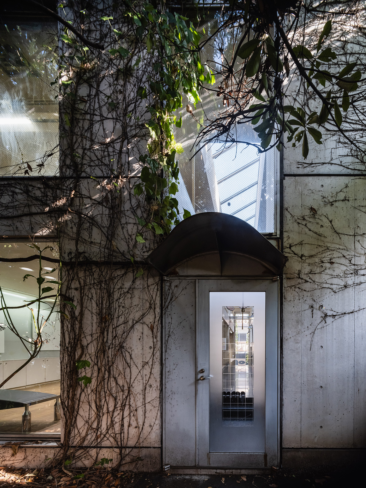 森の空白を満たす